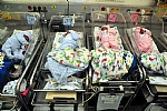 Quadruplet premature infants from Gaza were discharged from the Barzilai Medical Center